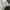 ADIDAS VINTAGE W11 1LA WHITE ADIDAS VINTAGE W11 1LA WHITE photo 8
