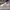 ADIDAS VINTAGE W11 1LA WHITE ADIDAS VINTAGE W11 1LA WHITE photo 1
