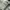 AIR JORDAN 1 MID TRIPLE WHITE PLASTATION photo 7