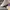 AIR JORDAN 1 MID TRIPLE WHITE PLASTATION photo 6