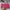 Tas pouch pink fushcia multifungsi photo 2