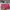 Tas Pouch Pink Fushcia Multifungsi