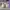 NIKE AIR FORCE 1 07 LV 8 JUST DO IT photo 4