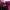 Asics Magicspeed 4 Purple Spectrum photo 5