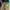 Shortpants XLARGE photo 1
