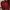 Sweater Maron