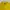 Polo Adidas Trefoil Yellow photo 2