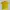 Polo Adidas Trefoil Yellow photo 1