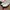 Sepatu Pria Sneakers REEBOK Royal Complete Sport White (Puti photo 1