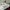 Sepatu Pria Sneakers REEBOK Royal Complete Sport White (Puti photo 3