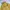 Lyle & Scott Sportswear Casual Windbreaker Pria yellow photo 6