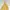 Lyle & Scott Sportswear Casual Windbreaker Pria yellow photo 2