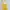 Golden Yellow Sheer Tanktop With Delicate Trim