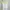 White Lace Trim Cami Tanktop Brand Decjuba photo 2