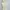 Beige Ribbed Knit Square Neck Tanktop Fit body photo 2