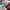 A BATHING APE BAPESTA SAX LOW BLUE , A BATHING APE LOW BLUE  photo 9