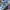 A BATHING APE BAPESTA SAX LOW BLUE , A BATHING APE LOW BLUE  photo 6