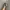 Salomon XT-6 Deser Sage photo 4