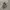 Salomon XT-6 Deser Sage photo 1