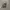 Salomon XT-6 Deser Sage photo 5