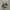 Salomon XT-6 Deser Sage photo 2