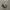 Salomon XT-6 Advance White Lunar photo 2