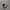 Salomon XT-6 Dark Sapphire photo 1