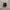 Salomon XT-6 Gore-Tex Black Ebony Lunar Rock photo 5