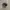 Salomon XT-6 Gore-Tex Black Ebony Lunar Rock photo 2
