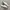Vans Translucent Authentic White Checkerboard Sole photo 2