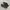 Rare Onitsuka Tiger Mexico 66 Deluxe Leather Full Black Trip photo 2