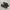 Rare Onitsuka Tiger Mexico 66 Deluxe Leather Full Black Trip