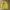 Thom Browne Casual Cardigan Wanita yellow photo 1