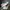 Sepatu Puma RS X Ader  size 41 photo 1
