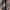 CHRISTIAN DIOR Black Leather Oblique Embosse Claf Skin BAG photo 5