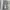 GENUINE DICKIES CANVAS UTILITY WORK PANTS photo 6