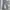 GENUINE DICKIES CANVAS UTILITY WORK PANTS photo 3