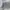 GENUINE DICKIES CANVAS UTILITY WORK PANTS