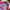 Nike Air Foamposite One “Big Bang” x Woven Half Zip Jacket photo 5