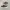 Converse 70s Low Dark Root photo 3