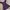 vintage purple top sequin payet kebaya photo 4