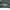 Shortpants Cargo Camo I AM NOT A HUMAN BEING Celana Pendek  photo 5