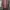 Victoria’s Secret Minimalist Casual Kimono Wanita Pink