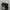 vans sk8 low contras photo 2