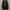 puma spedcat photo 5
