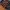 Long Sleve Nike SB Skateboard photo 1