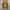 Carhartt Double Knee BRN Flanel Lined photo 2