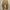 Carhartt Double Knee BRN Flanel Lined