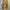 Carhartt Double Knee BRN Flanel Lined photo 3