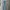 Scalzi Blue Jeans Side Line Vintage Style photo 1